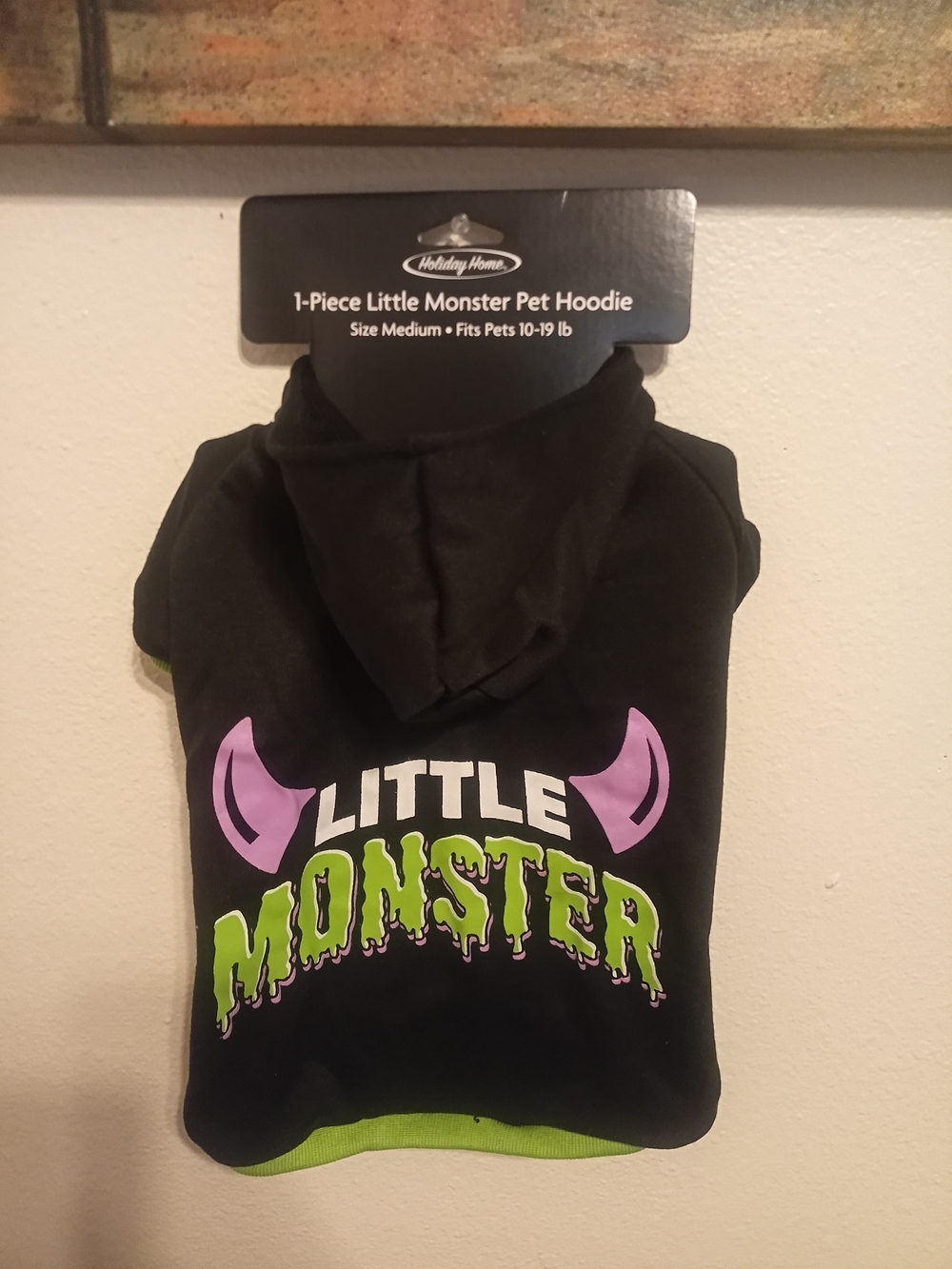 Holiday Home Pet Hoodie